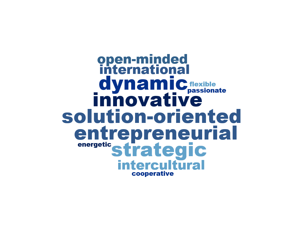 Intern Student Job Strategy With Focus On Analytics Crm Solutions Department Of Information Systems